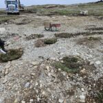 Sandy Cove restoration site