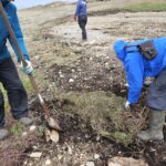 Sandy Cove restoration site
