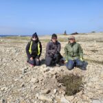 Sandy Cove restoration site