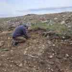 Sandy Cove restoration site