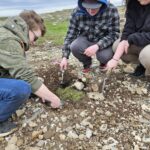 Sandy Cove restoration site