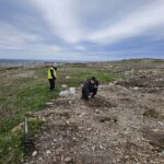 Planting site for Sandy Cove restoration