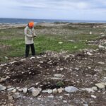 Planting site for Sandy Cove restoration