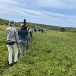 Interpretive Walk led by Jessica from Intervale Associates