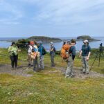 Interpretive Walk led by Jessica from Intervale Associates