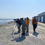 Shorebird workshop led by Intervale in Anchor Point
