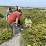 Interpretive walk led by Jessica from Intervale Associates
